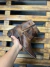 BOTA ROSA RIBEIRO BICO FINO CAMEL - 6254 - comprar online
