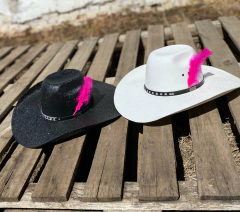 COMBO 02 CHAPÉU MUNDIAL DE JUTA