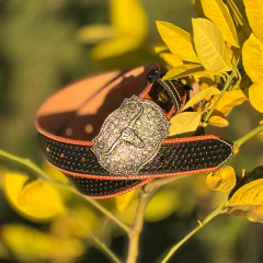 Cinto Unissex Cincow Com Fivela Couro Legítimo Trabalhado - 3205 - comprar online