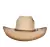 CHAPEU DE JUTA DALLAS - ABA 12 - 13500 - comprar online