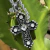 CORRENTE COM PINGENTE DE CRUZ STRASS PRATA - VII - comprar online