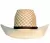 CHAPEU RESISTOL IMPORTADO 20X - MONTGOMERY - comprar online