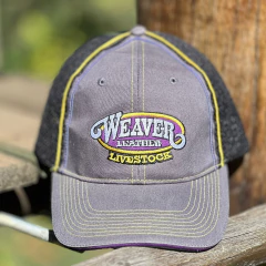 Boné LiveStock Telinha Cinza - comprar online