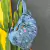 MOCHILA JEANS FARM