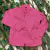 CAMISA LIFE WESTERN INF ML XADREZ ROSA