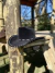 CHAPÉU CLUBE 21 CASTELA - Country Style | Loja Online de Moda Country Masculina e Feminina