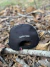 BONÉ TEXAS FARM TX. CLASSIC PRETO / BRANCO - TF863 - comprar online