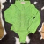 BODY ZOE HORSE INF VERDE - 1203