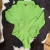 BODY ZOE HORSE INF VERDE - 1203 na internet