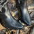 BOTA WESTERN TEX TEAM CONFORT PRETO - 958019 - loja online