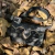 BOLSA CINCOW DIVE PRETO EM COURO NATURAL - 9365