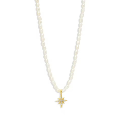 COLLAR DASY en internet