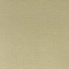 Tecido Sintético Flex Dune 1m para Sofás, Pufes e Decoração