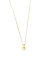 COLAR MEDALHA P PERSONALIZADO - BANHO OURO
