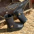 Bota Infantil Montaria Molekinha Cano Médio Zíper 2706.314.24775 - Lesantini
