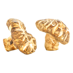 Hongos Shitake Villares Enteros 25 gr - comprar online
