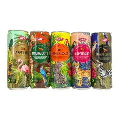 bebida okf cappuccino 340 ml - comprar online