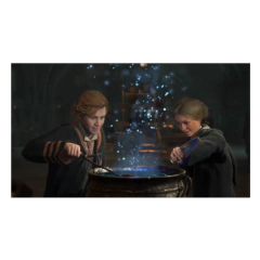 Hogwarts Legacy Standard Edition PS5 Fisico en internet
