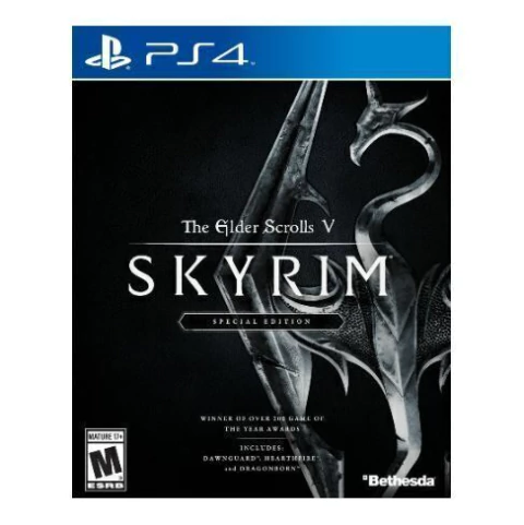 The Elder Scrolls V Skyrim Special Edition PS4 Fisico