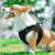 Coleira Peitoral Para Cachorro Pet Colete Refletivo + Guia - comprar online