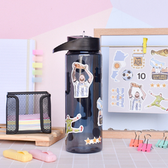 BOTELLAS PICO CON STICKERS - comprar online