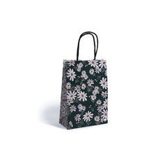 BOLSA DE PAPEL DAISIES