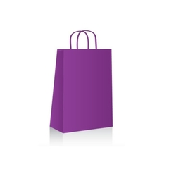 BOLSAS DE PAPEL DE COLORES LISOS - comprar online