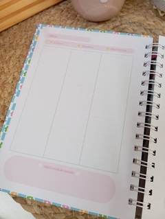 CUADERNO PLANNER ANILLADO A5 en internet
