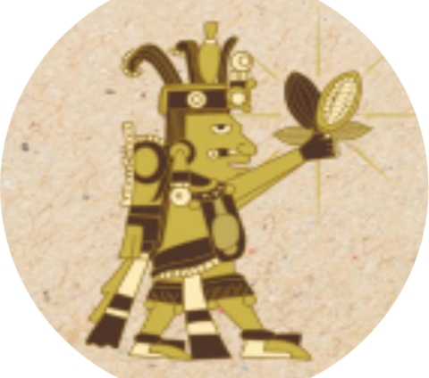 Cacau Tesouro