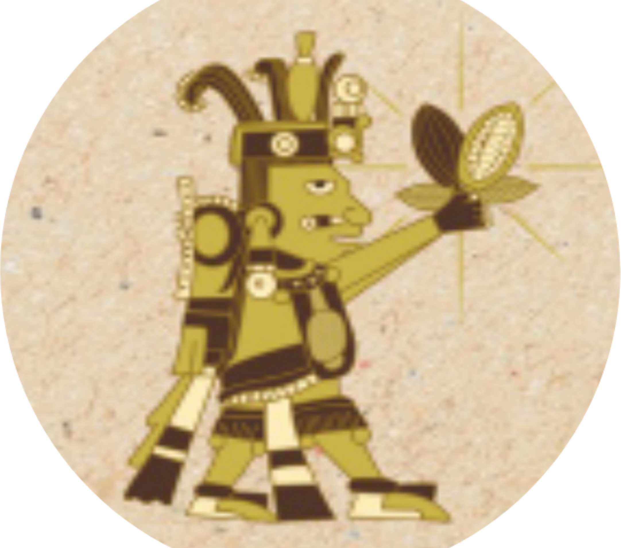 Cacau Tesouro