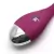 Vibrador de Ponto G Kisstoy Evelyn na cor roxa, com ponta prateada e logo da marca.