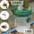 Imagen de LAMPARA SOLAR ATRAPA INSECTOS MOSQUITOS AVISPAS MOSCAS PACK X2