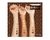 NYX Professional Makeup - Paleta de Sombras Ultimate Edit Petite Warm Neutrals na internet