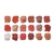 Revolution - Paleta de sombras Forever Flawless Decadent na internet