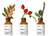 The Ordinary Rosa Mosqueta Orgânico 100% - 30ml