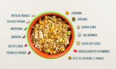 KIT degustação | 04 porções de 250g - loja online