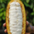 Frutas do Renatinho - Torra Outubro