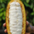 Frutas do Renatinho