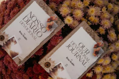 Nosso diário Devocional ! Ilena Braido