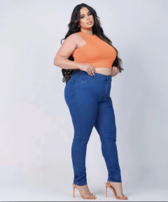 Calça Jeans Skinny Plus Debora na internet