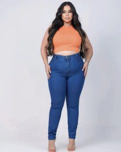 Calça Jeans Skinny Plus Debora - AUTHENTIC STORE LTDA