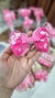 Laço Cristal confete Rosa - comprar online
