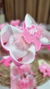 Laço Boutique com Boneca Rosa