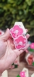 Duplinha de Flor Rosa Neon com Branco