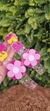 Imagem do Tiara Personalizada com Flor