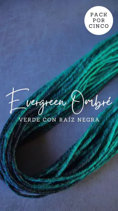 Pack Dreadlocks Evergreen Ombre
