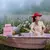 Imagen de Perfume Cher Dieciocho Glossy