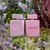 Perfume Cher Dieciocho Glossy