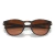 Óculos de Sol Oakley Latch Unissex - Marrom / Matte Brown Tortoise - loja online