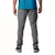 Calça Columbia Titan Pass Pant II Masculina - Cinza - comprar online